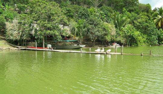 tarapoto